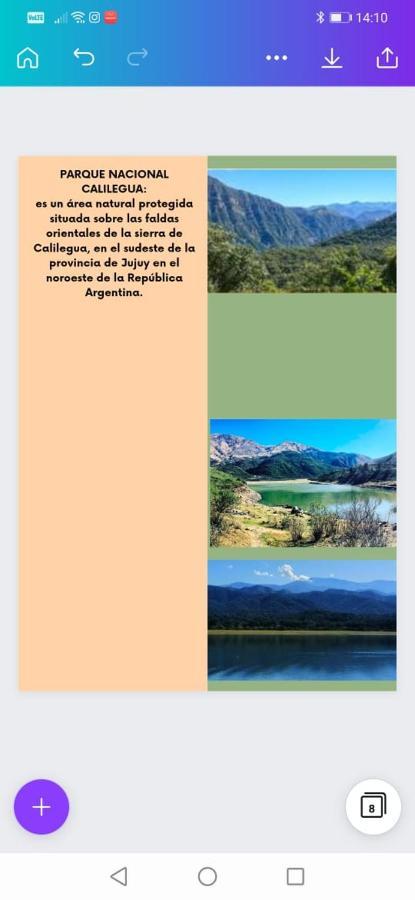 Los Tarcos Departamento Centro San Salvador de Jujuy Dış mekan fotoğraf